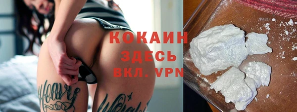 ПСИЛОЦИБИНОВЫЕ ГРИБЫ Медногорск