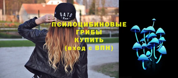 спиды Мегион