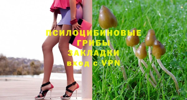 apvp Медвежьегорск