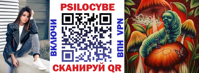 Галлюциногенные грибы Psilocybine cubensis  Узловая 