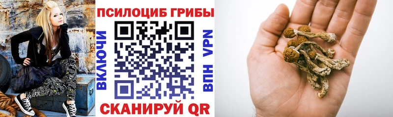 Галлюциногенные грибы MAGIC MUSHROOMS Узловая
