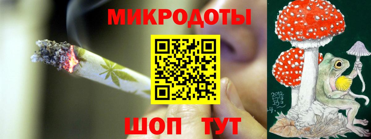 Узловая  Псилоцибиновые грибы Psilocybine cubensis  Вход с VPN 