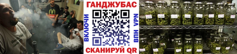 Бошки Шишки AK-47  где купить наркотик  ссылка на мегу маркетплейс  Узловая 